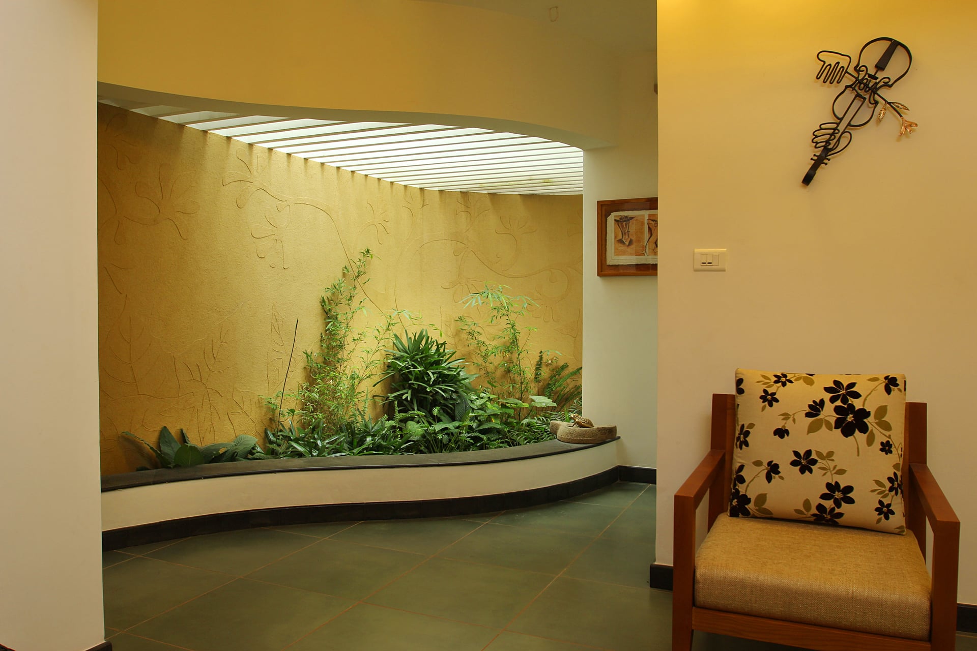 The Fern of the Hill - Image 4