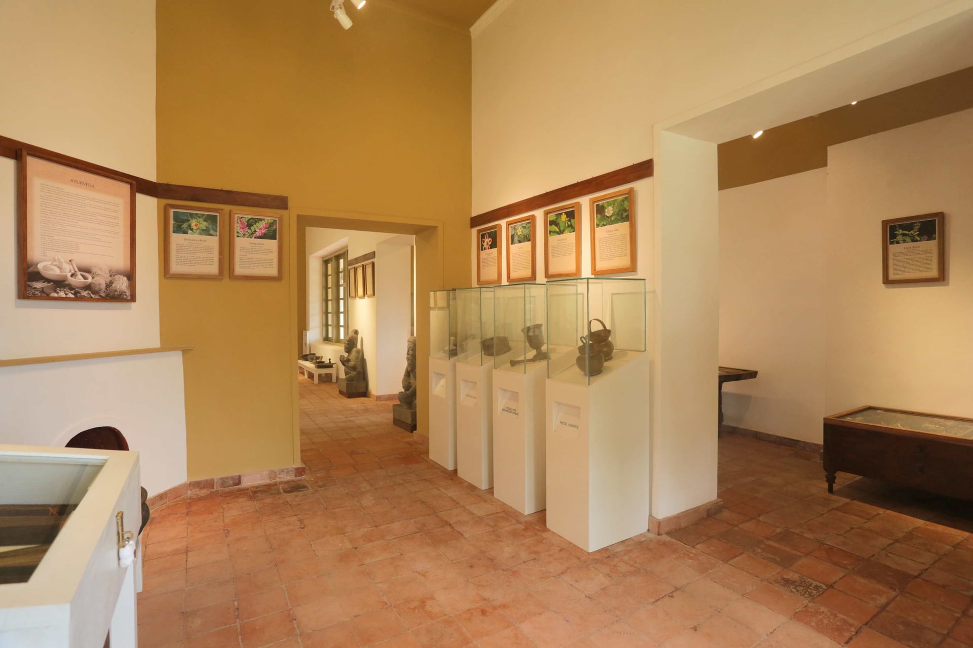 A Walk Into The Past - Image 9